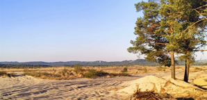 {{brizy_dc_image_alt entityId=