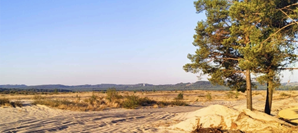 {{brizy_dc_image_alt entityId=